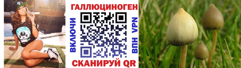 Купить  Устюжна  Псилоцибиновые грибы MAGIC MUSHROOMS 